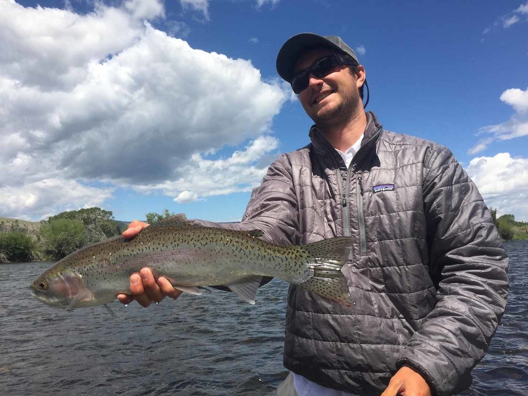 Madison River Fly Fishing Reports