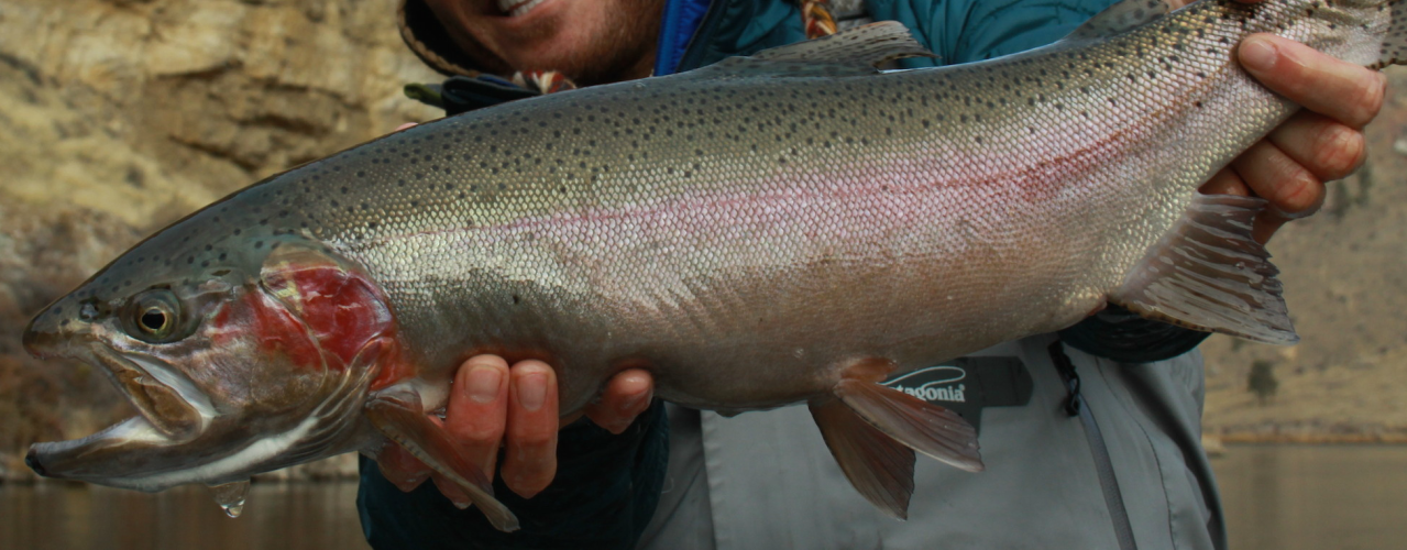 Ennis Montana Fly Fishing Guides: Hooked Outfitting